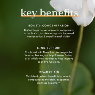 Nootropic Brain Blend