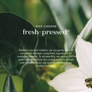 Organic Camellia Oil 100ml