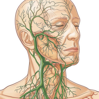 Lymphatic Drainage Massage - Full Body